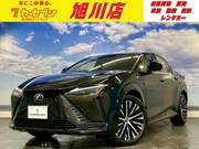 2023 LEXUS OTHER