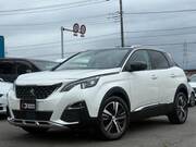 2019 PEUGEOT 3008