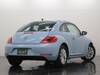 VOLKSWAGEN THE BEETLE