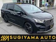 2025 HONDA OTHER
