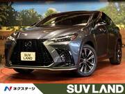 2023 LEXUS NX