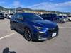 SUBARU OTHER