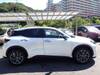 LEXUS OTHER