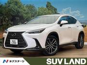 2023 LEXUS NX