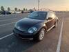 VOLKSWAGEN THE BEETLE