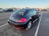 VOLKSWAGEN THE BEETLE