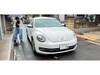 VOLKSWAGEN THE BEETLE