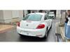 VOLKSWAGEN THE BEETLE