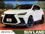 2025 LEXUS NX
