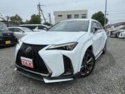 2019 LEXUS UX