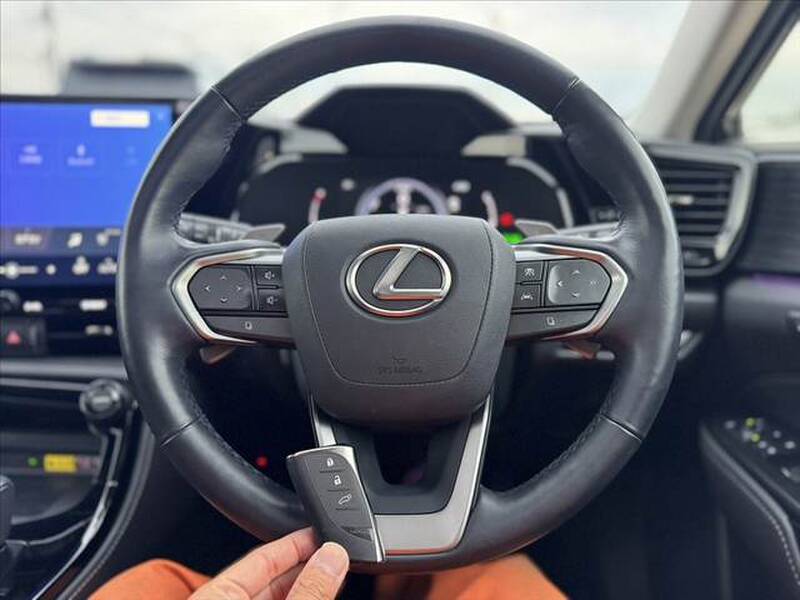2023 LEXUS NX for sale - more photos