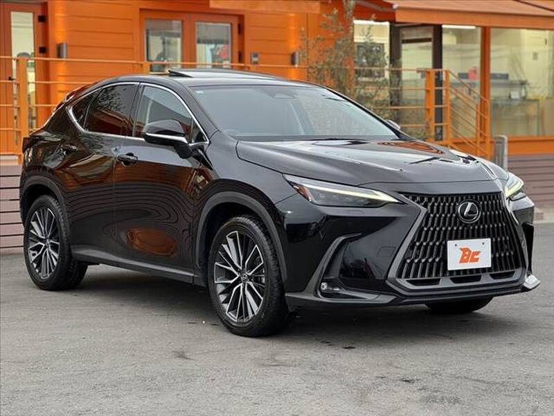 2023 LEXUS NX for sale - photo 9