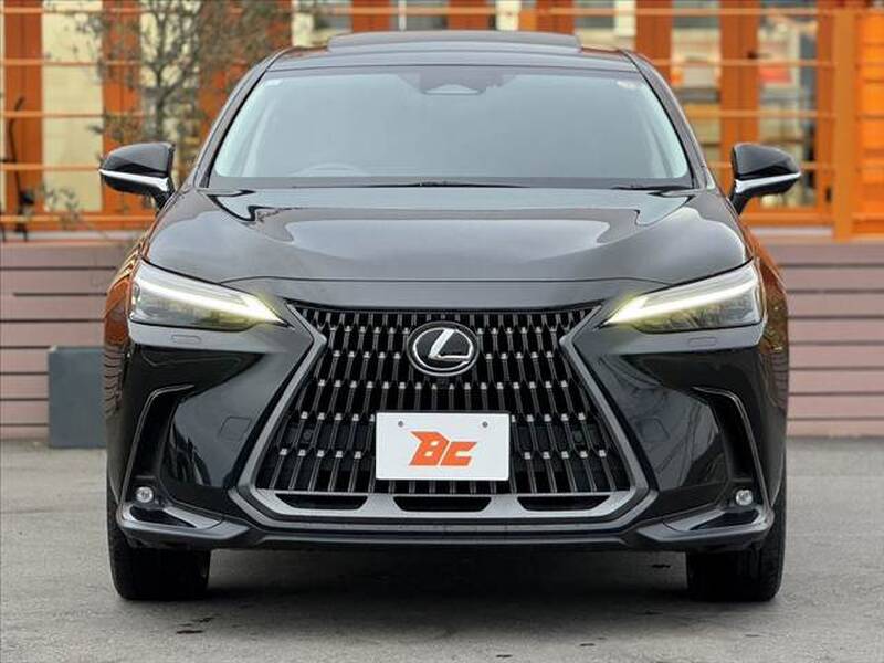 2023 LEXUS NX for sale - photo 10