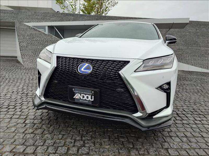 2017 LEXUS RX for sale - photo 9