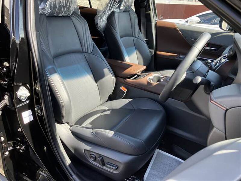 2025 TOYOTA HARRIER (LEXUS RX300) for sale - photo 5