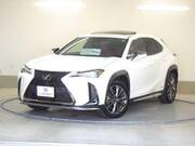2021 LEXUS UX
