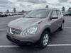 NISSAN DUALIS