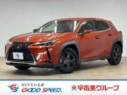 2020 LEXUS UX