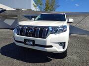 2023 TOYOTA LAND CRUISER PRADO