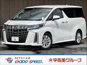 2019 TOYOTA ALPHARD