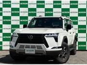 2025 LEXUS OTHER
