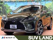 2019 LEXUS RX
