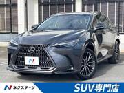 2025 LEXUS NX