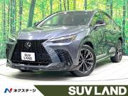 2022 LEXUS NX