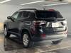 CHRYSLER JEEP COMPASS