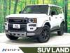 TOYOTA LANDCRUISER 250