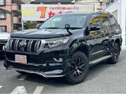 2019 TOYOTA LAND CRUISER PRADO TX