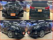 2017 TOYOTA ALPHARD
