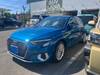 AUDI A3 SPORTBACK E-TRON