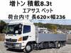 HINO OTHER