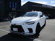 2024 LEXUS RX
