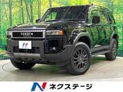 2024 TOYOTA LANDCRUISER 250