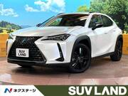 2020 LEXUS UX