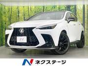 2022 LEXUS NX