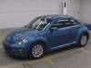 VOLKSWAGEN THE BEETLE
