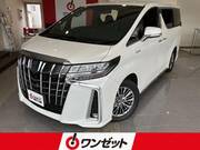 2019 TOYOTA ALPHARD HYBRID