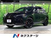 2024 LEXUS NX