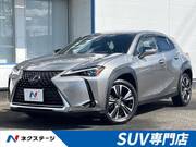 2019 LEXUS UX