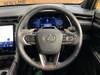 LEXUS OTHER