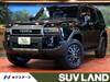 TOYOTA LANDCRUISER 250