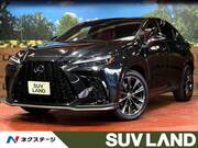 2024 LEXUS NX