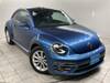 VOLKSWAGEN THE BEETLE