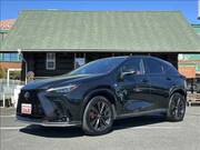 2023 LEXUS NX