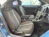 VOLKSWAGEN THE BEETLE
