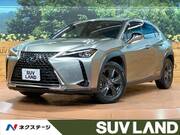 2019 LEXUS UX