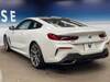 BMW 8 SERIES